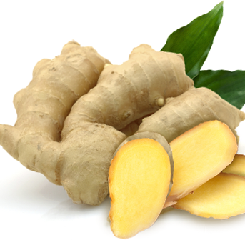 Ginger