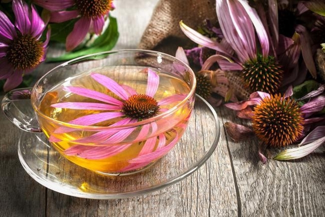 Echinacea Forte